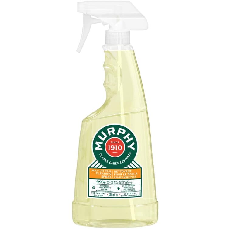Clean & Shine Oil Soap - 650 ml