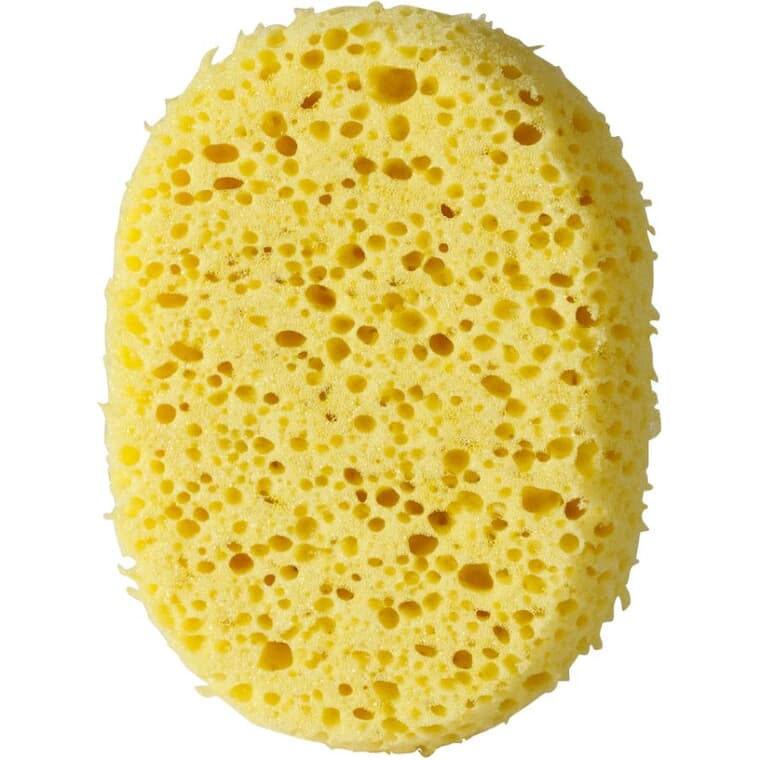 8" x 6" x 2" All Purpose Wall Washing Sponge