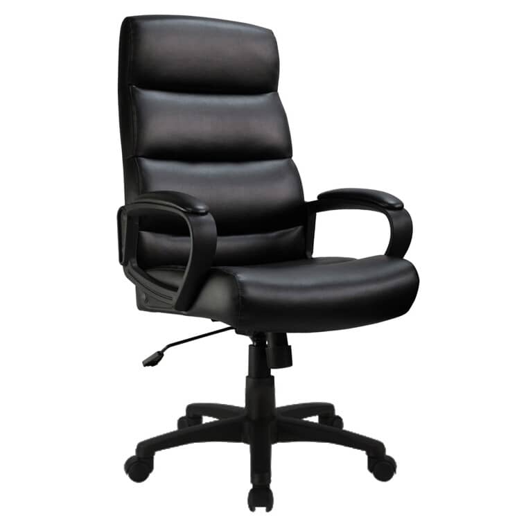 CANERGO:High Back Office Chair - Black