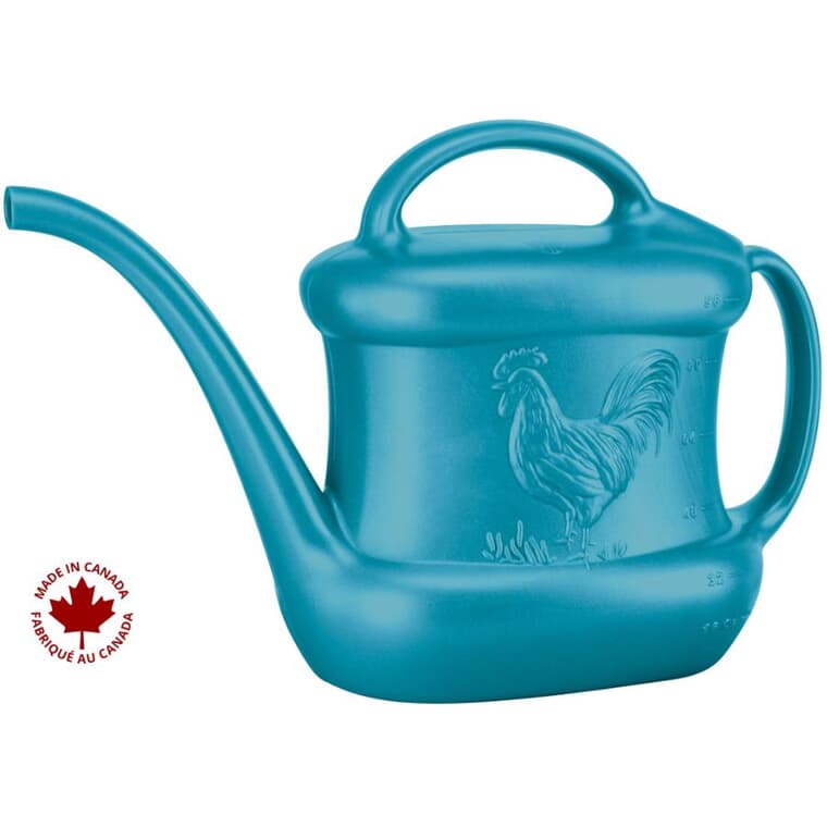 3L Blue Plastic Watering Can