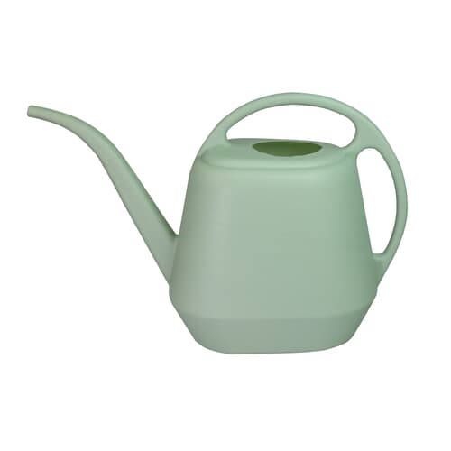 Arrosoir Noir 1 Litre,1L Petit Arrosoir De Jardin,Arrosoir En Acier