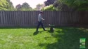 Photo thumbnail