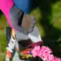 Photo thumbnail