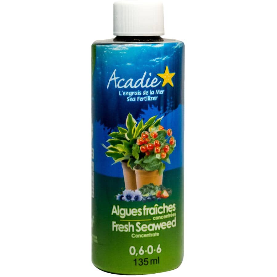 工芸品 raw life factory Cabanel SEAWEED RAW LIFE FACTORY 第7回抽選販売 - peaceandafter