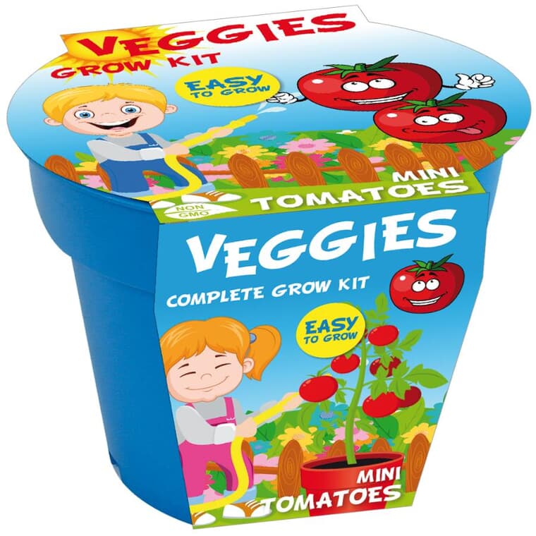 Nécessaire de semences de tomates pour enfants