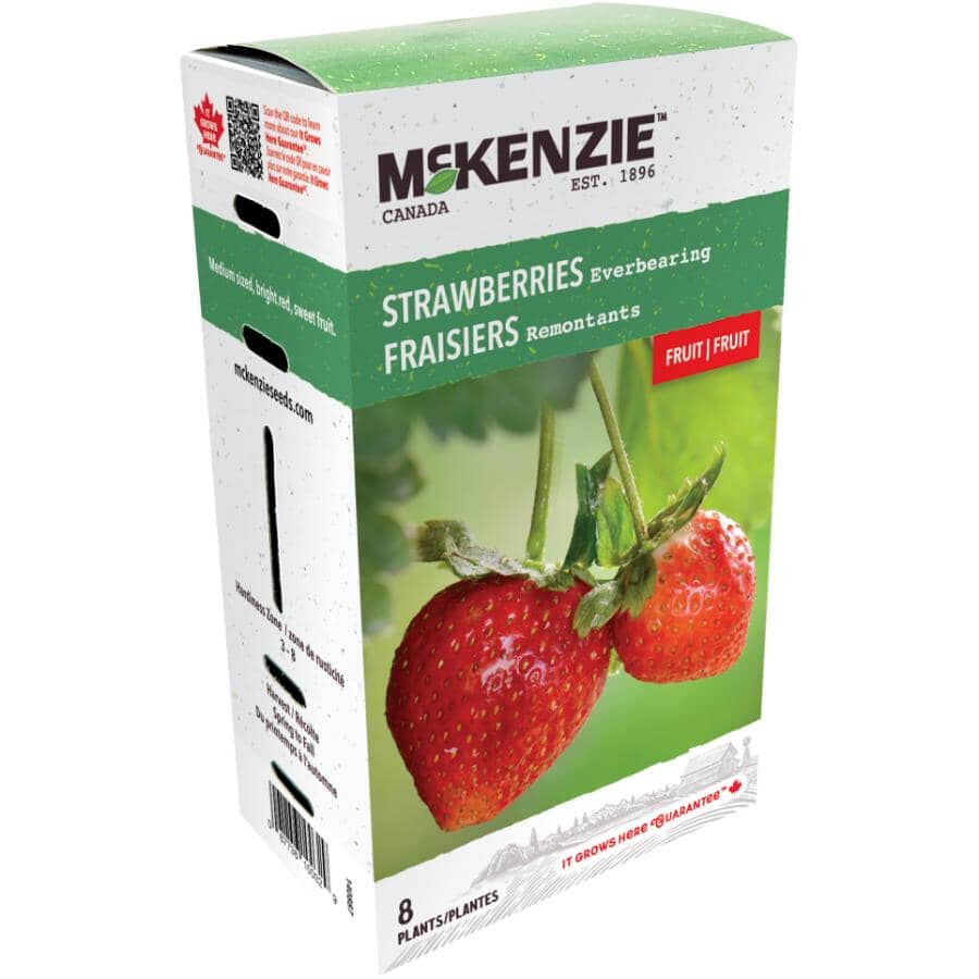 MCKENZIE Everbearing Strawberry Bulbs | Home Hardware