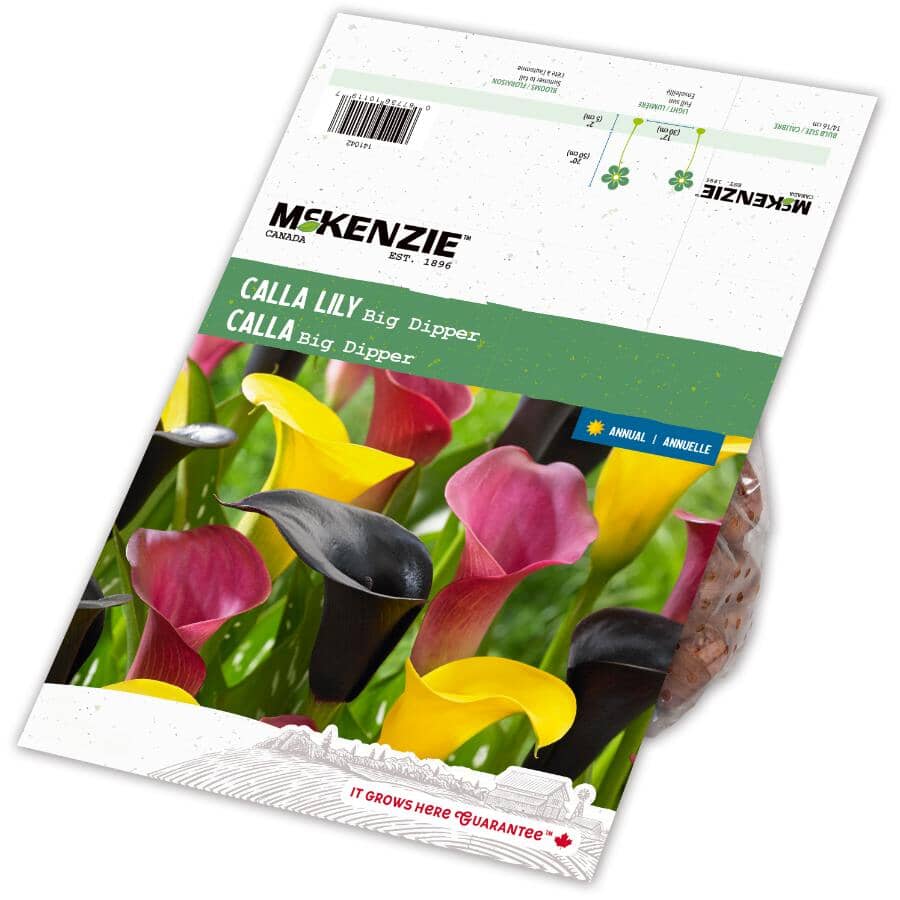 MCKENZIE Calla Lily Big Dipper Flowering Bulbs | Home Hardware