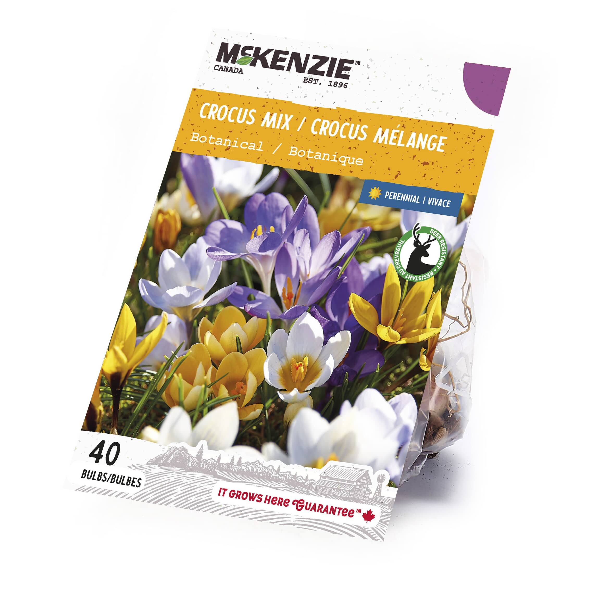 MCKENZIE Crocus Botanical Mix Flowering Bulbs | Home Hardware