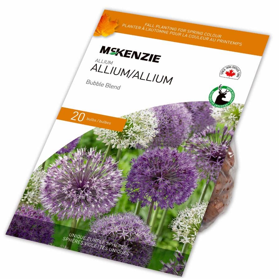 MCKENZIE Allium Bubble Blend Flowering Bulbs | Home Hardware