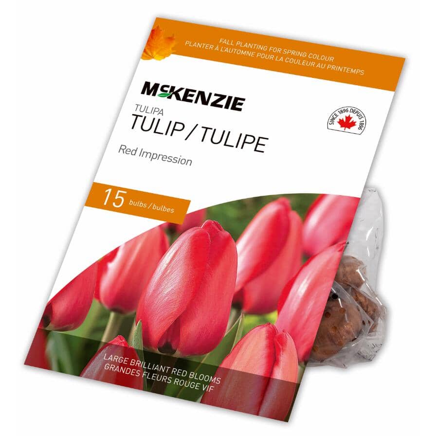 MCKENZIE Tulip Red Impression Flowering Bulbs | Home Hardware