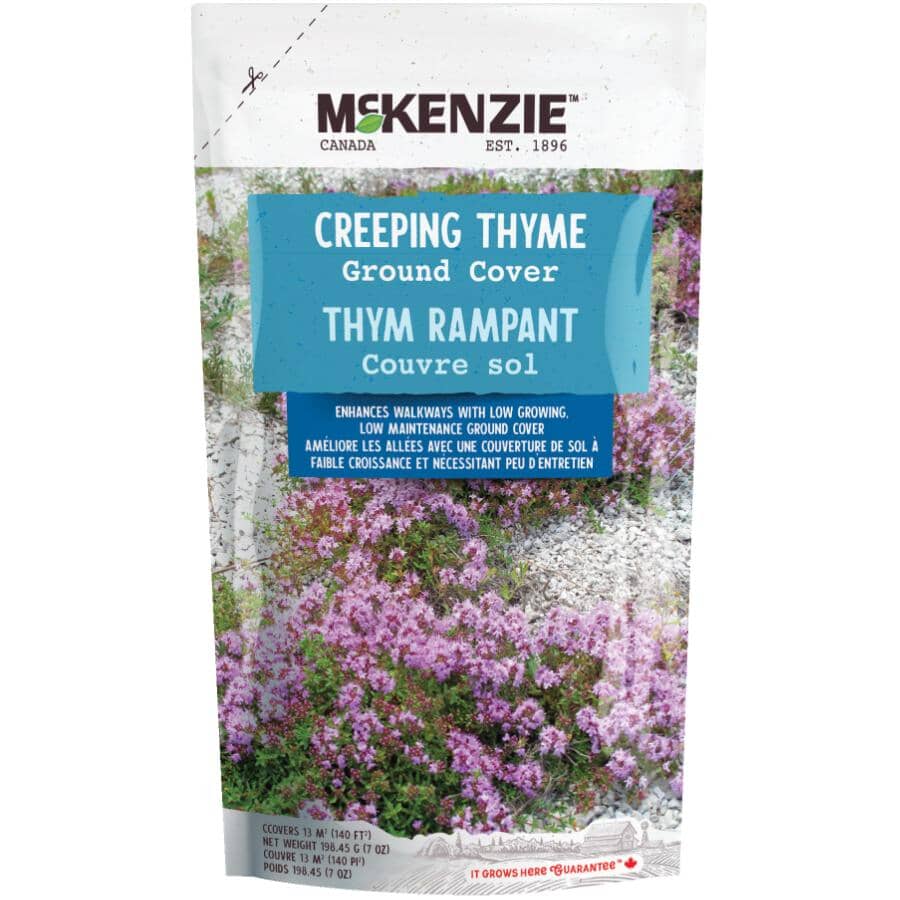Thyme  MCKENZIE 198g Creeping Thyme Mix Flower Seeds | Home Hardware