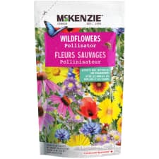MCKENZIE 198g Creeping Thyme Mix Flower Seeds | Home Hardware
