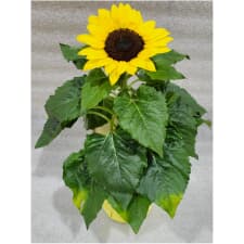 sunflower.k Sunflower Tillage Equipment | Precision Tillage Tools for Every Farm