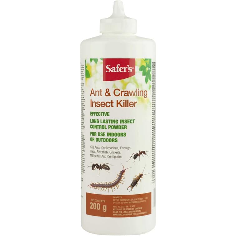 Insecticide pour fourmis et insectes rampants, 200 g