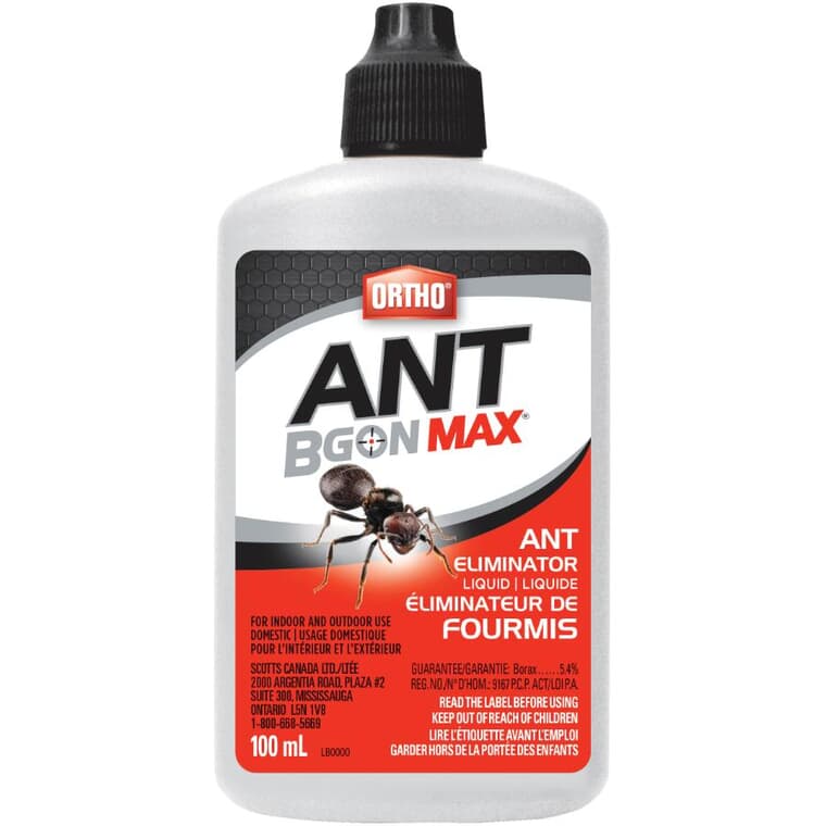 Insecticide à fourmis en liquide Ant B Gon MAX, 100 ml
