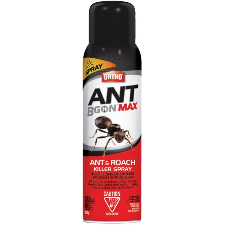 Insecticide en vaporisateur Ant B Gon MAX pour fourmis et coquerelles, 400 g