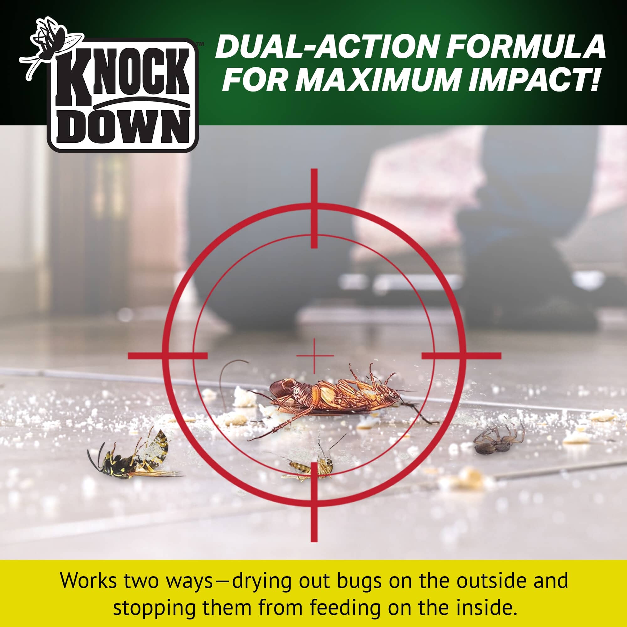 KNOCK DOWN Diatomaceous Earth Crawling Insect Control & Killer Baited ...