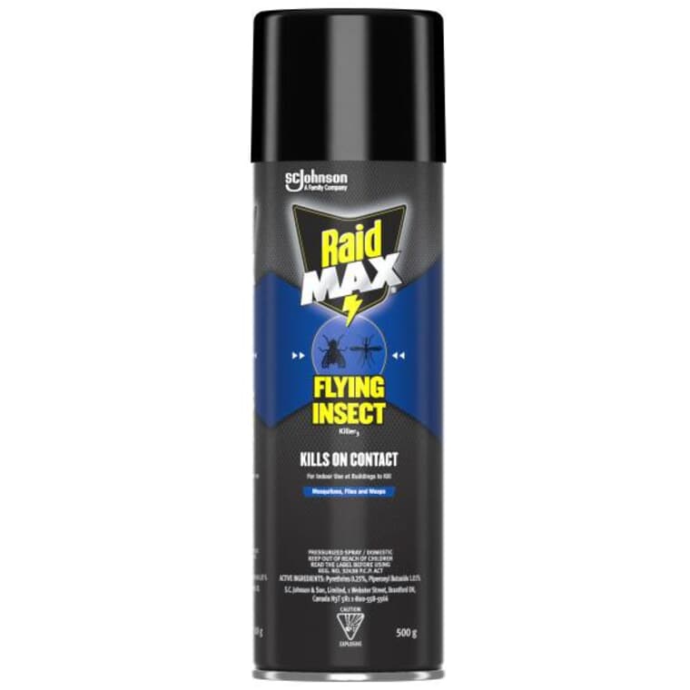 Flying Insect Insecticide Spray - 500 g