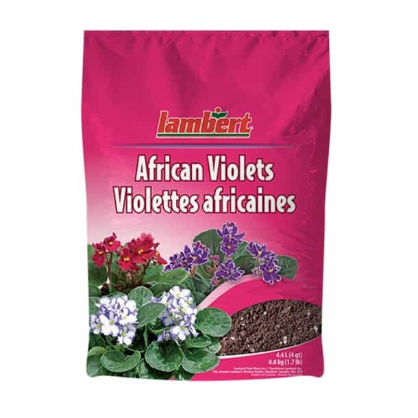 LAMBERT African Violet Potting Soil Mix | Home Hardware