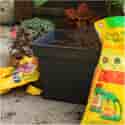 Photo thumbnail