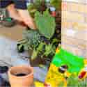 Photo thumbnail