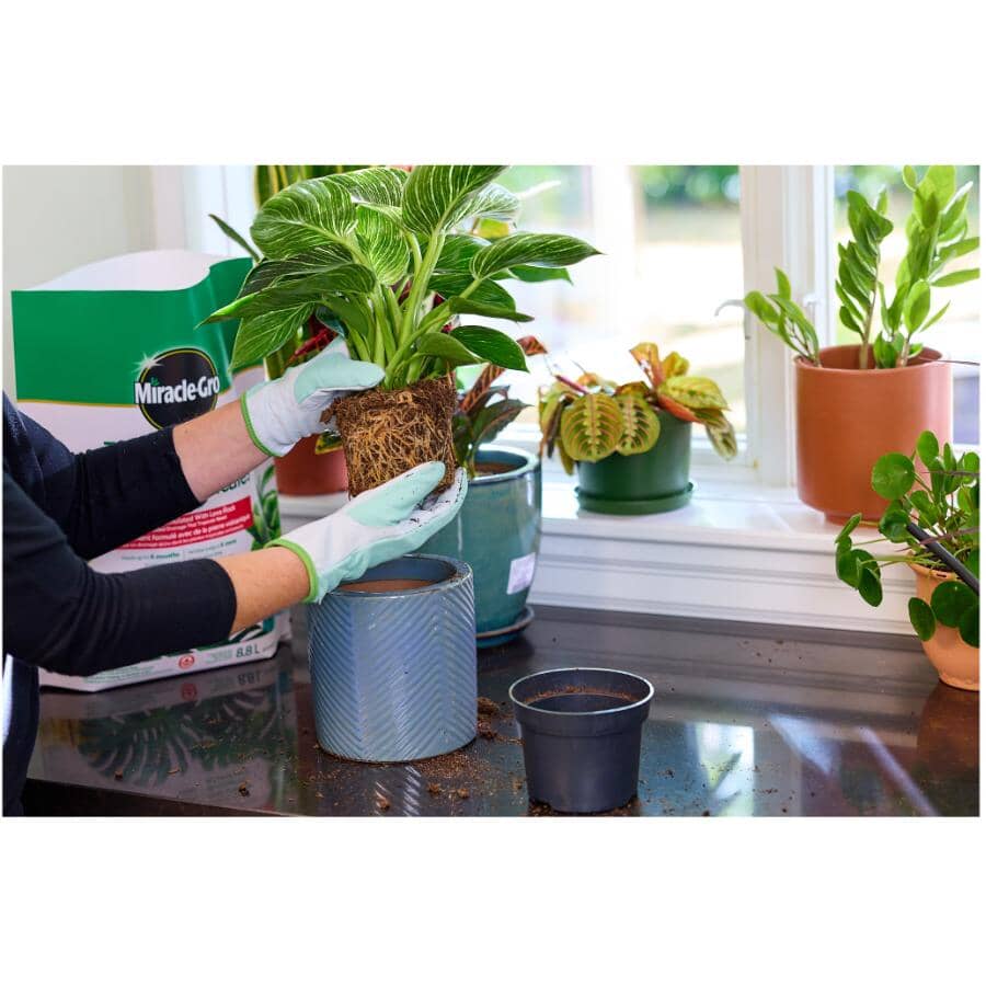 Miracle-Gro Tropical Potting Mix, 6 qt 2-Pack, Nutrient-Rich Soil