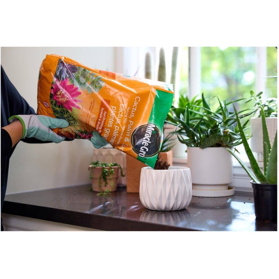 MIRACLE-GRO Cactus, Palm & Succulent Potting Mix Soil | Home Hardware