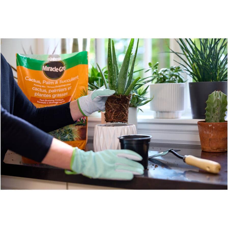 MIRACLE-GRO Cactus, Palm & Succulent Potting Mix Soil | Home Hardware