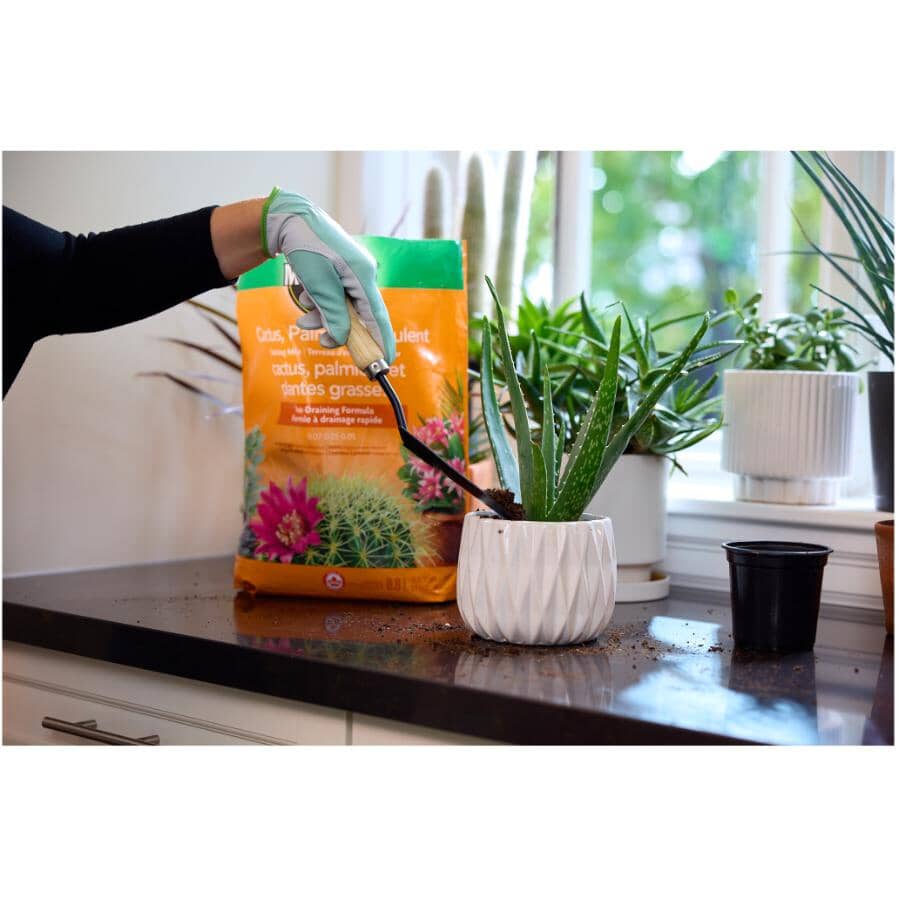 MIRACLE-GRO Cactus, Palm & Succulent Potting Mix Soil | Home Hardware