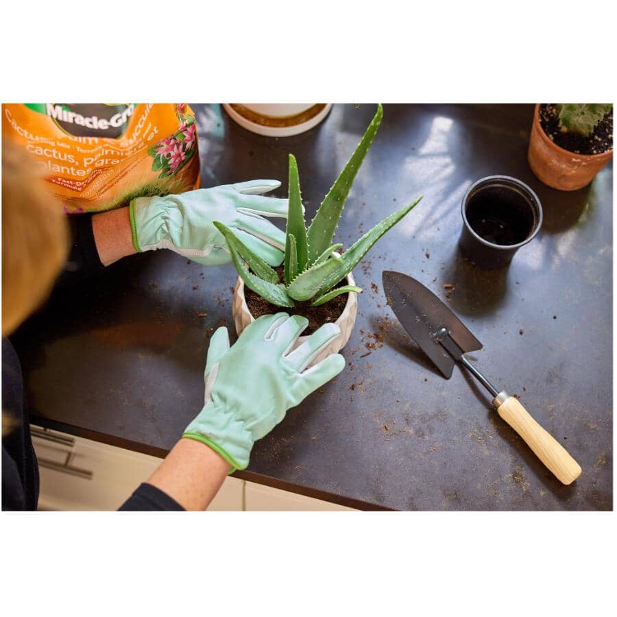 MIRACLE-GRO Cactus, Palm & Succulent Potting Mix Soil | Home Hardware
