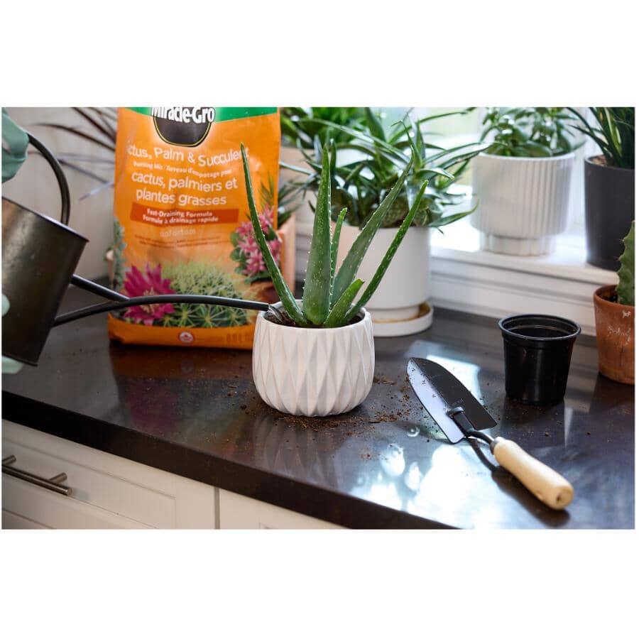 MIRACLE-GRO Cactus, Palm & Succulent Potting Mix Soil | Home Hardware