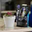 Photo thumbnail