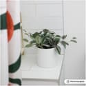 Photo thumbnail