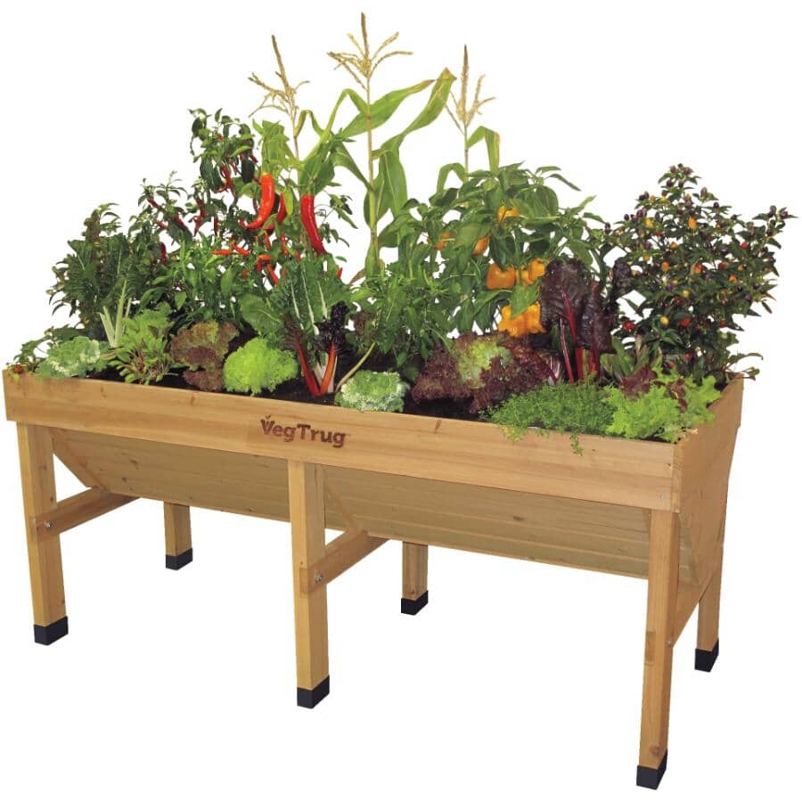 VEGTRUG 72