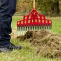 Photo thumbnail