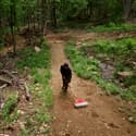 Photo thumbnail