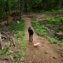 Photo thumbnail