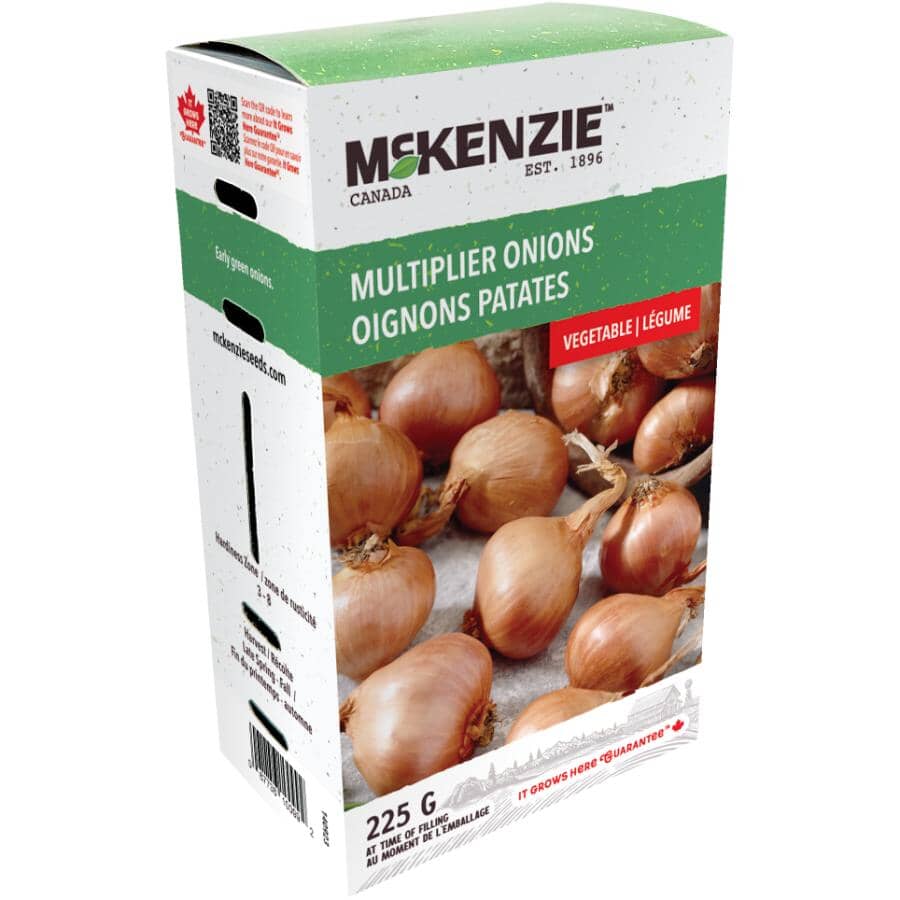 激安ブランド MCKENZIE Hardware Home | Bulbs Onion Multiplier 225g フロアスタンド
