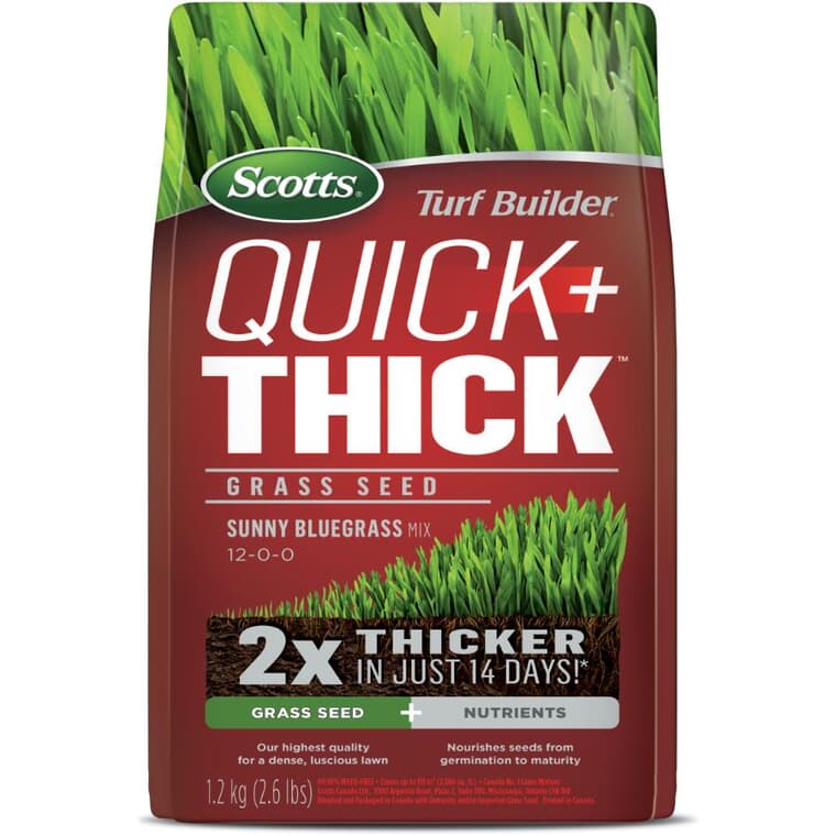 Turf Builder Quick+Thick Grass Seed - Sunny Bluegrass Mix, 1.2 kg