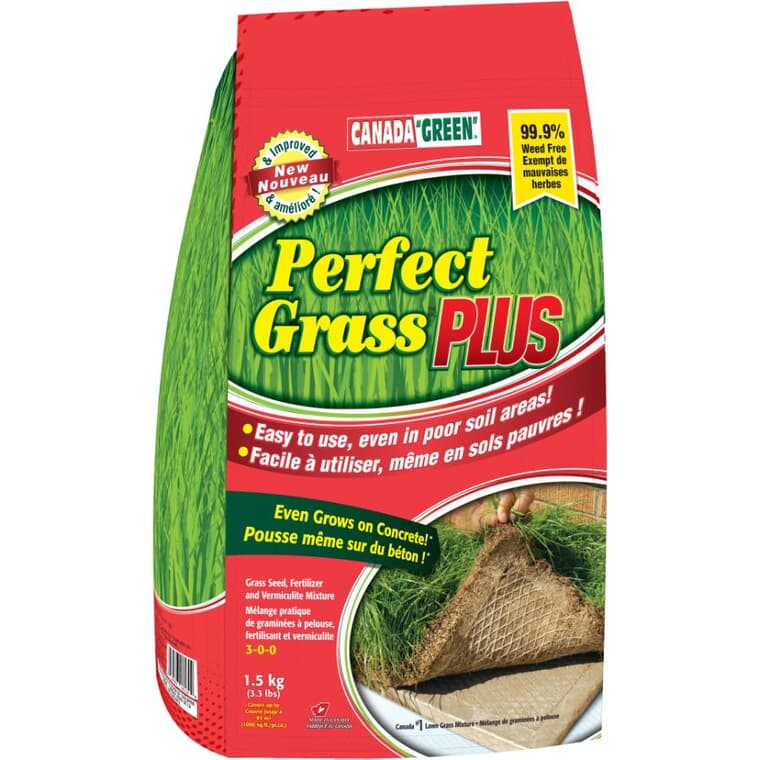 Semence à gazon Perfect Grass, 1,5 kg