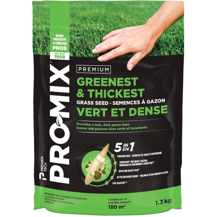 Premium Greenest & Thickest Grass Seed - 1.3 kg