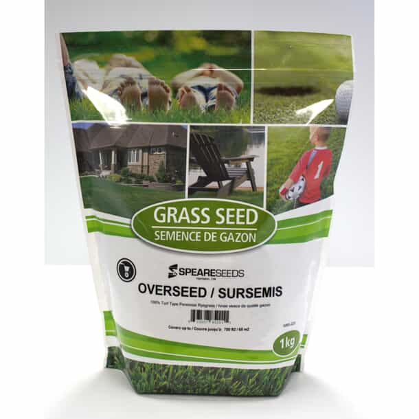 SPEARE SEEDS Overseeding Lawn Seed Mixture | Home Hardware