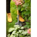 Photo thumbnail