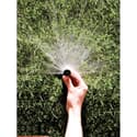 Photo thumbnail