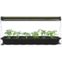 Hydroponic Grow Light for Seedlings & Cuttings