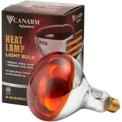 Canarm 250 Watt Red Soft Glass Brooder Lamp Home Hardware 250 Watt Red Soft Glass Brooder Lamp, How Much Energy Does A 250 Watt Heat Lamp Use