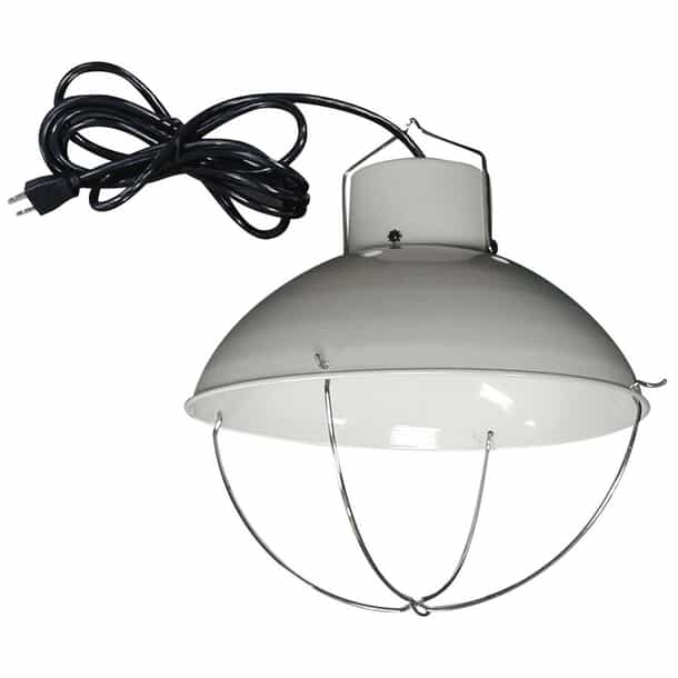 How to Make a Heat Lamp at Home: Easy DIY Guide for Warmth