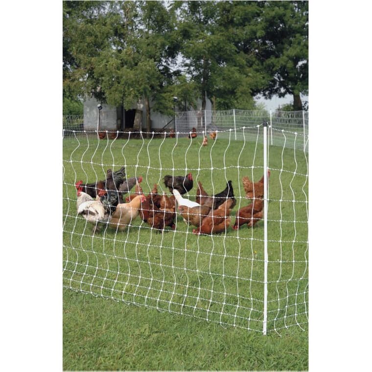 Poultry Netting - 48" x 164'