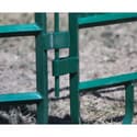 Photo thumbnail