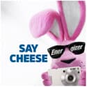 Photo thumbnail